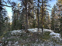 ØyvindBergkvam_20241126_6745fa9a5b852.jpg