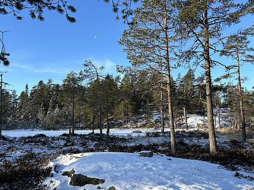Skjukuåsen i sikte