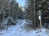 ØyvindBergkvam_20241126_6745fe06ebea4.jpg