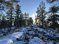 ØyvindBergkvam_20241126_6745fe1d38017.jpg