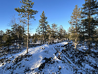 ØyvindBergkvam_20241126_6745fe21dc765.jpg