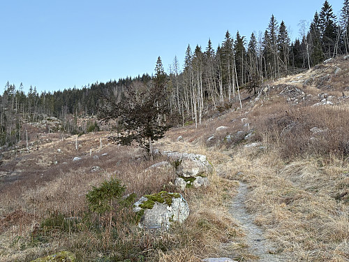 På vei oppover langs sørsiden av Kabretta