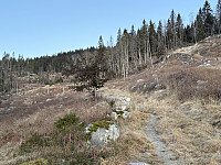 ØyvindBergkvam_20241212_675aa4f63bafc.jpg