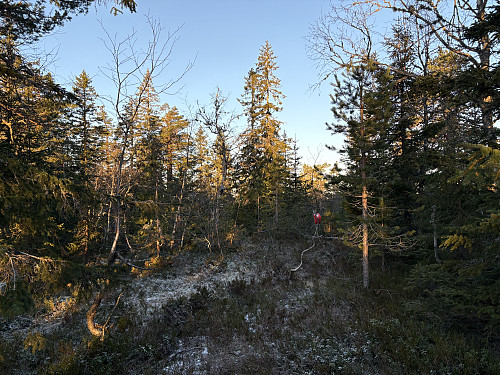 Presteseteråsen Øst