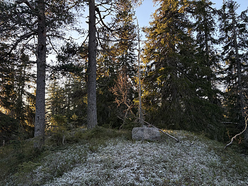 Presteseteråsen Vest