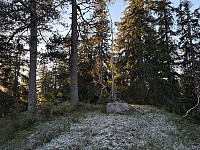 ØyvindBergkvam_20241212_675aa5120eada.jpg