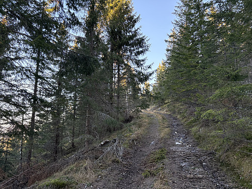 Traktorveien fører helt opp til toppen av Bokkemyråsen