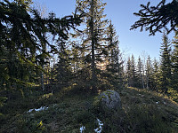 ØyvindBergkvam_20241212_675aaa55ce60b.jpg