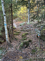 ØyvindBergkvam_20241212_675aaea92ad26.jpg