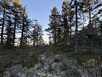 ØyvindBergkvam_20241212_675aaead12d60.jpg