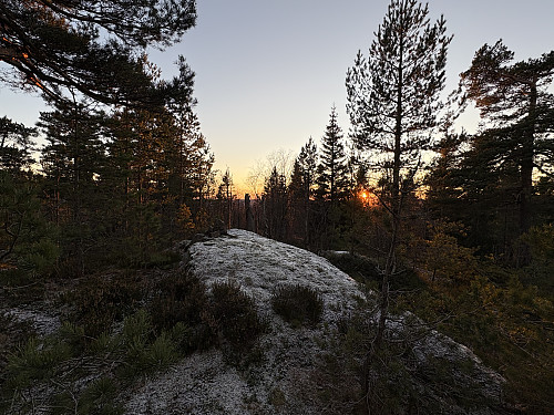 Toppunktet på Tyriås ligger litt nord på kollen