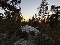 ØyvindBergkvam_20241212_675af6eba505b.jpg