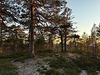 ØyvindBergkvam_20241212_675af6f60cdb1.jpg