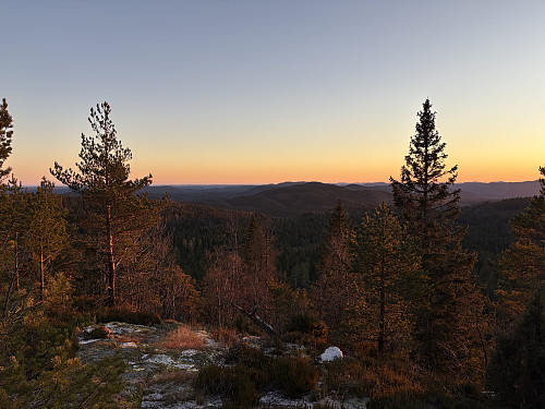 Utsikt fra Tyriåsen 