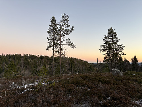 Tyriåsen sett fra turen over mot Breidfjell