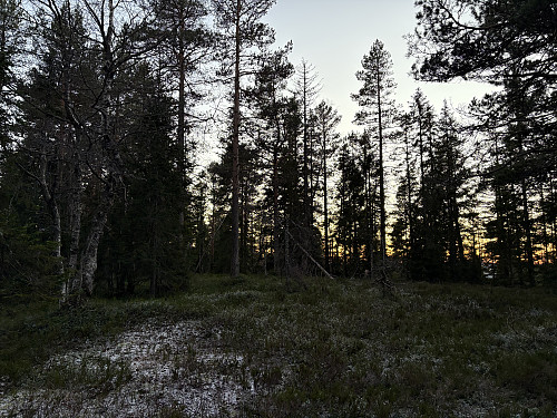 Toppunktet på flate Breidfjell er et sted i nærheten her...