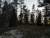 ØyvindBergkvam_20241212_675af70a9a74c.jpg