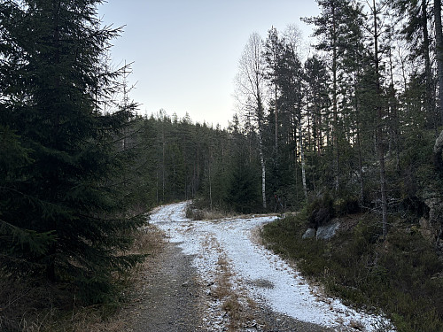 Det var fin skogsbilvei innover fra Kulblik. Jeg tok til høyre i dette krysset.