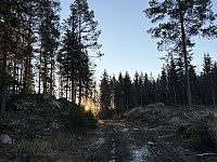 ØyvindBergkvam_20241212_675afc69b7788.jpg