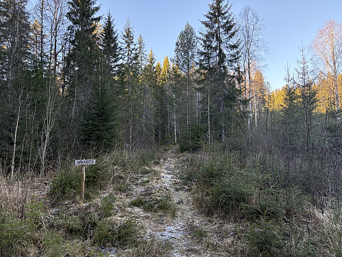 Her starter stien opp mot Hornåsen