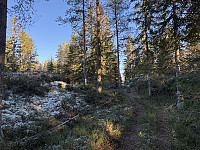 ØyvindBergkvam_20241212_675b23dc44d0c.jpg