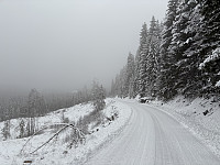 ØyvindBergkvam_20241212_675b31910be63.jpg