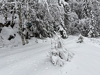 ØyvindBergkvam_20241212_675b319a2e64a.jpg