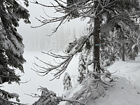 ØyvindBergkvam_20241212_675b31a146dc0.jpg