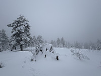 ØyvindBergkvam_20241212_675b31a41b205.jpg