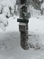 ØyvindBergkvam_20241212_675b31a6da0da.jpg