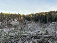 ØyvindBergkvam_20241212_675b353e4a33a.jpg