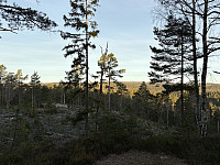 ØyvindBergkvam_20241212_675b3546382bd.jpg