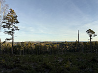 ØyvindBergkvam_20241212_675b35606fb19.jpg