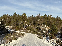ØyvindBergkvam_20241212_675b3aeeb7e91.jpg