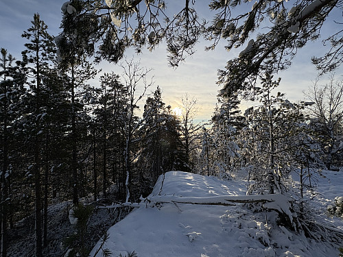 Tråvassåsen i Bamble