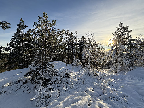 Tråvassåsen i Bamble