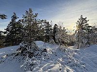 ØyvindBergkvam_20241212_675b3b05cf372.jpg
