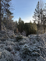 ØyvindBergkvam_20241213_675bedf9d4cc5.jpg