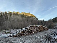 ØyvindBergkvam_20241213_675c45bd4e8d9.jpg