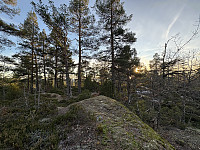 ØyvindBergkvam_20241213_675c45ccf1913.jpg