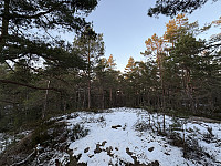 ØyvindBergkvam_20241213_675c48bf8ec9a.jpg