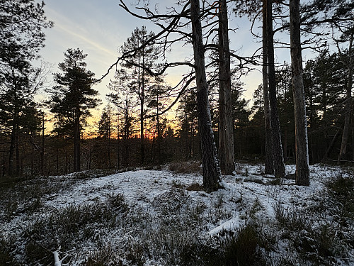 Vesttoppen av Bastaufjell