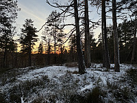 ØyvindBergkvam_20241213_675c48cf202e4.jpg