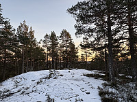 ØyvindBergkvam_20241213_675c48d3abaca.jpg