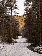 ØyvindBergkvam_20241213_675c4d23647c0.jpg
