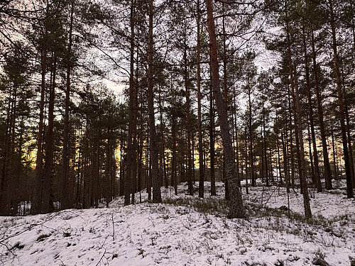 Toppområdet på Kaperkollen