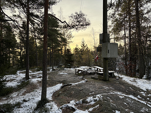 Piggen i Skien