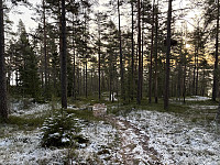 ØyvindBergkvam_20241213_675c546ed6ff6.jpg