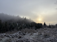 ØyvindBergkvam_20241213_675c566f887a7.jpg
