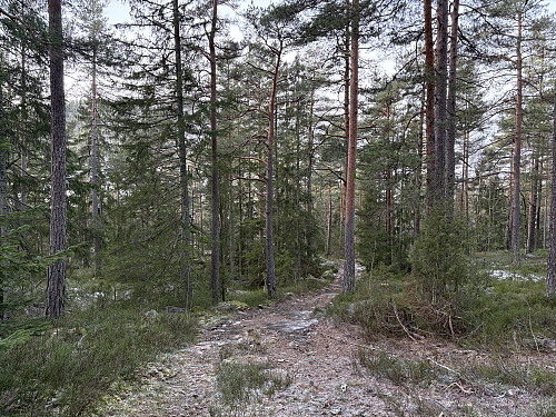 God sti oppover mot toppen av Liakollen